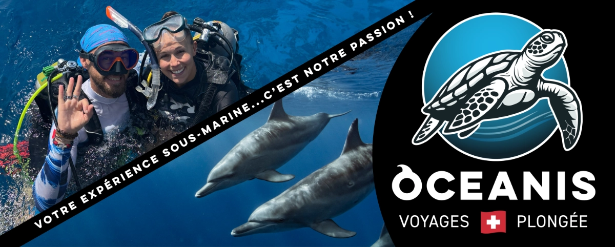 Oceanis voyages et plongée